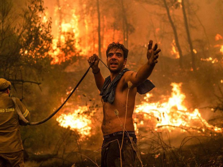 The ecological collapse we were warned about has begun The ecological collapse we were warned about has begun