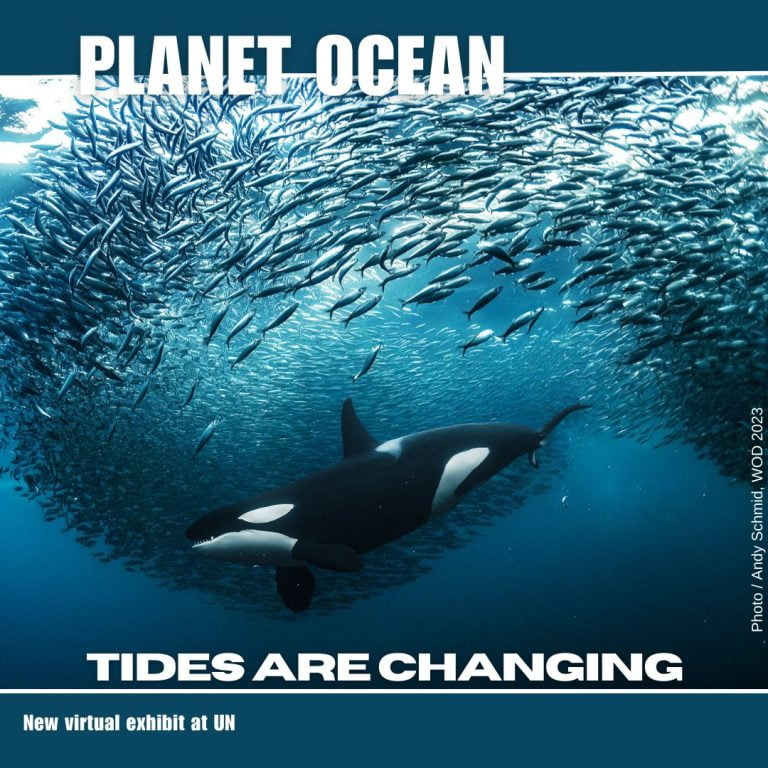 World Oceans Day calls for action to protect coastal communities and marine ecosystems